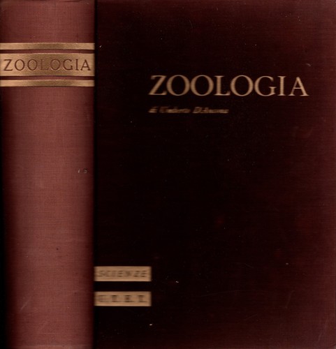 Zoologia umberto ancona - di,