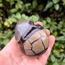 Septaria Nodule Poli/Cristallisé - Madagascar