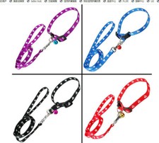 Set collare e guinzaglio per