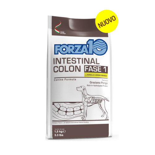 Intestinal colon fase sacco - intestinal,