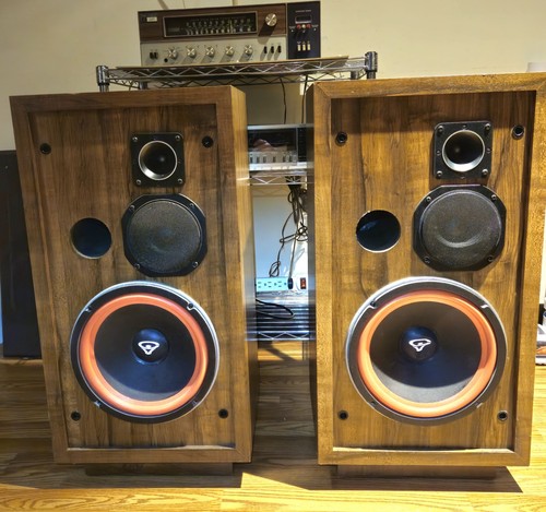 Cerwin vega 3 way - d3, 10"