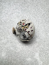 Orologio da polso movimento