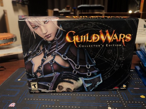 Guild wars edizione da - pc,