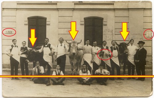 Cartolina fotografica