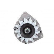 Per Perkins Marino 3 4 5 6