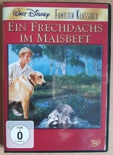 Rascal, l'orsetto lavatore