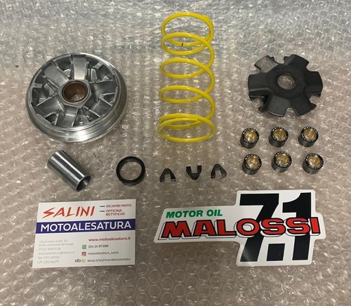 Variatore malossi multivar - variatore,