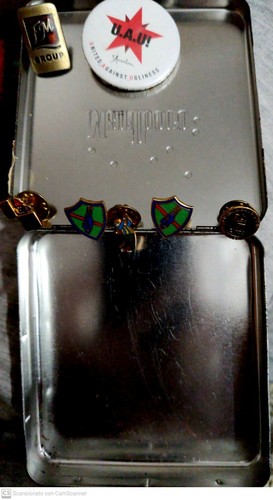 Collezione spille scatolo - spille,