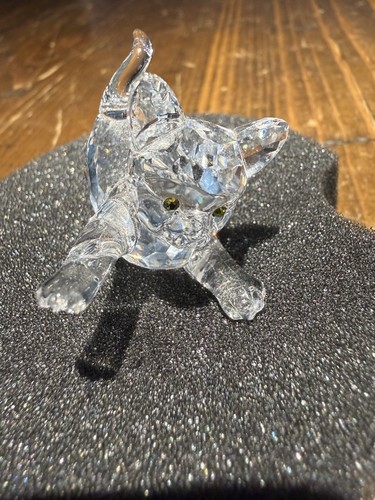 Swarovski gattino della - il,