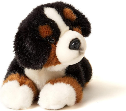 Cucciolo bernese sdraiato - bernese,,