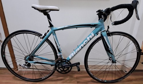 Bianchi dama bianca coast - bianca, to