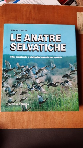 Anatre selvatiche chelini - le,