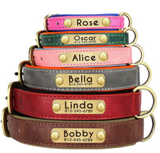 Collare Cane Imbracatura PERSONALIZZABILE Targhetta  Cani Guinzaglio Pelle