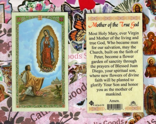 Nostra signora guadalupe - nostra,