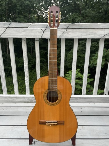 Takamine 124s chitarra - takamine,