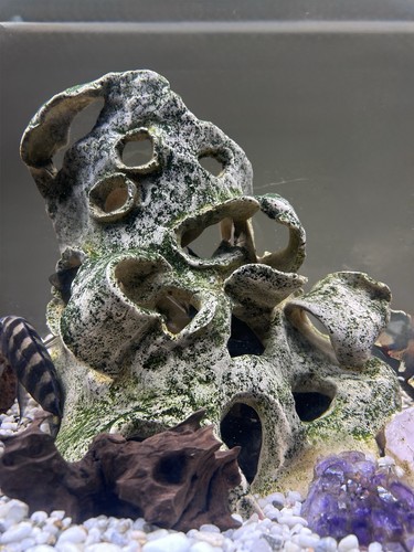 Decorazioni acquario benefiche - decorazioni,