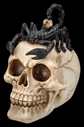 Figura teschio con - figura,