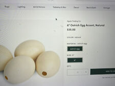 Uovo di struzzo soffiato