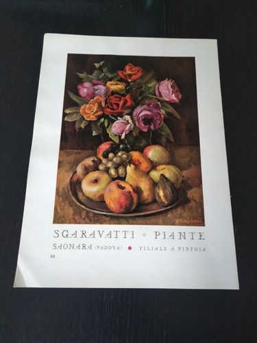 1942 sgaravatti piante padova - sgaravatti,