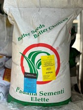 SEMI SORGO SUDANESE  PIPER