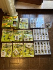 Insetti Da Tutto Il Mondo De