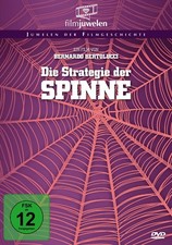 Die Strategie der Spinne -