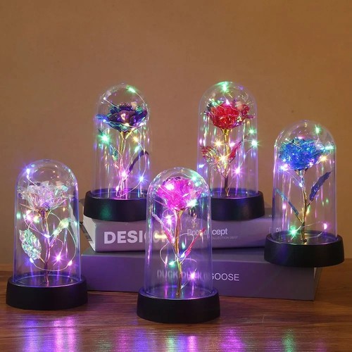 Rosa incantata led - incantata,