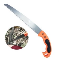 Segaccio sega da pota per