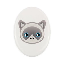 Ragdoll lapide con un gatto