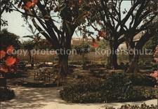 Mazara del Vallo Villa