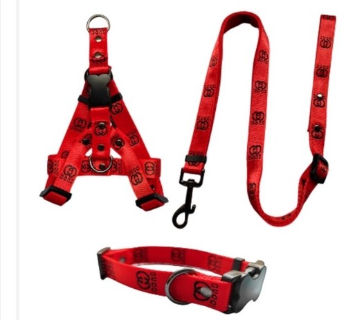 Set guinzaglio collare - set,