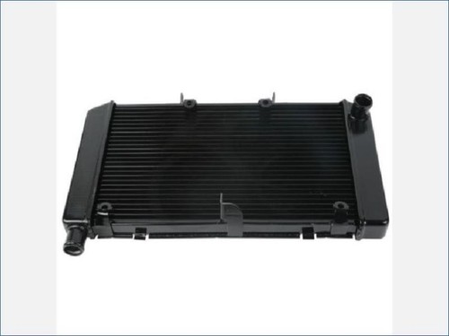 Radiatore acqua honda 600 - 600, f