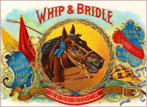 Frusta briglia cavallo - e,