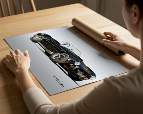 Poster shelby cobra black - cobra,
