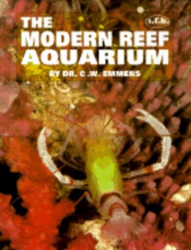 Modern reef aquarium - modern,