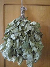 SET 20 fruste ECO rovere scope