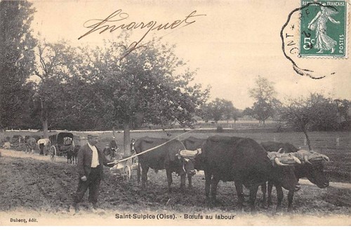 San sulpice san55414 - 60,