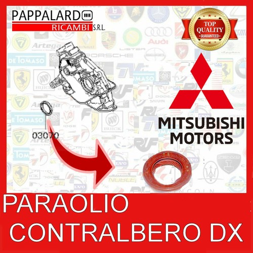 Paraolio contralbero dx - ,