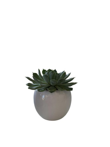 Vaso ceramica colore - in,
