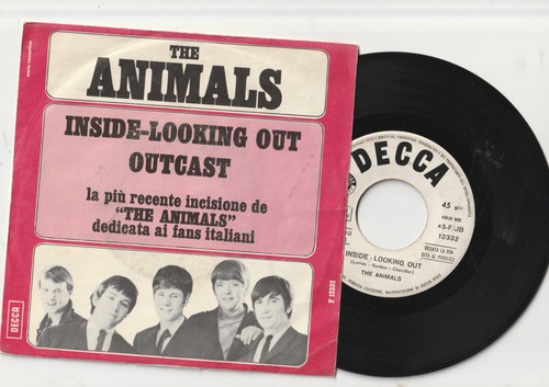 The animals inside lookin - animals,