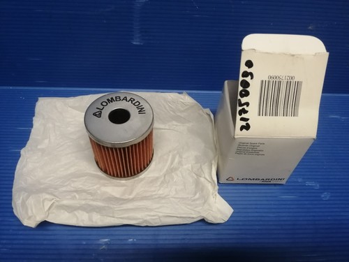 Filtro carburante lombardini