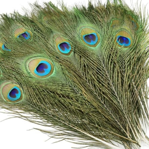 10pcs piume occhi pavone - 10pcs,