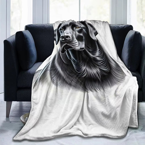 Copridivano poltrona per cani - poltrona,