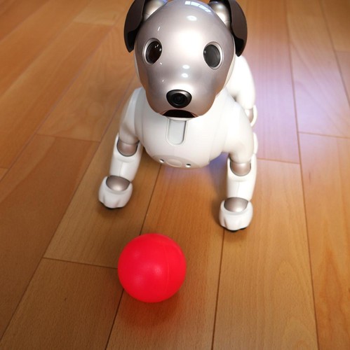 Sony aibo ers - w, cane