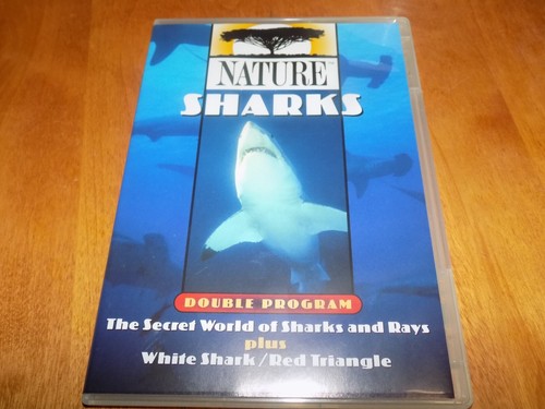 Nature pbs sharks - sharks, white