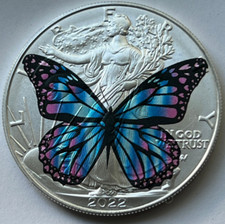 Bellissima farfalla rara - farfalla,