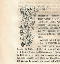 Stampa antica CAPOLETTERA C del 1858 con uva e putti Antique print