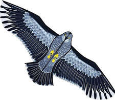 Grande Aquilone Aquila per