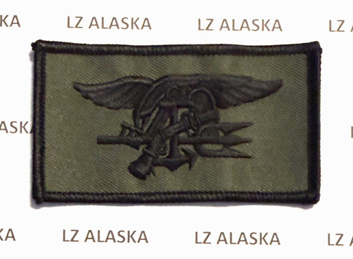 Naval special warfare - special, seal