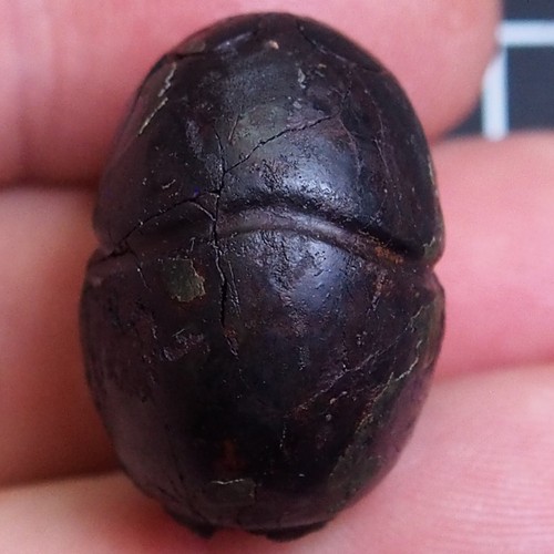 Goniatite ematite - goniatite,